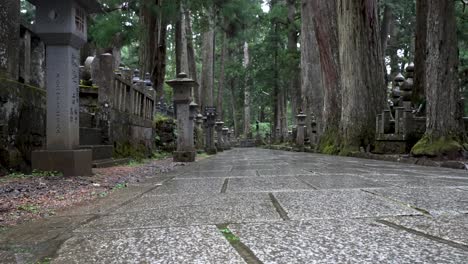 Rain-drops-Falling-On-Empty-Forest-Path-Lined-In-Okunoin-Cemetery