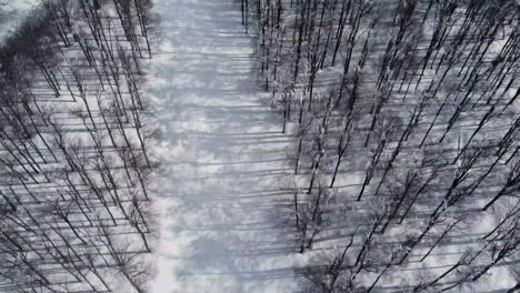 Winterpanorama-Aus-Der-Luft:-Verschneiter-Wald-Bis-Zum-Majestätischen-Chumerna-Gipfel-In-Bulgarien