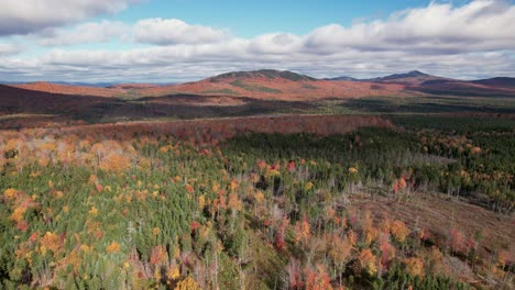Drone-footage-of-foliage-in-Maine-woods