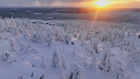Aerial-view-of-snow-covered-trees,-fells-and-cabins,-winter-sunset-in-Syote,-Lapland