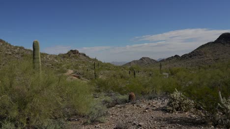 Panning-of-Arizona-Desert-Landscape