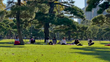 Static-shot-of-the-people-hanging-out-in-the-Kokyu-Gaine-National-Garden