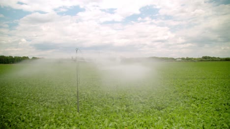 Farm-Water-Irrigation-Of-Crop-In-Green-Fields,-Marchfeld,-Austria---Drone-Shot