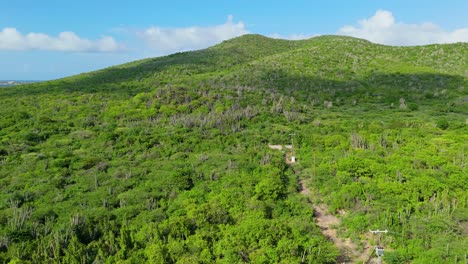 Panorama-Luftübersicht-über-Trockenes,-Trockenes-Buschland-Auf-Der-Karibikinsel