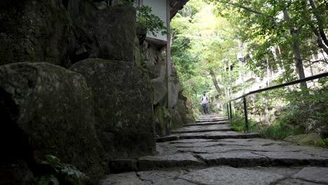 Solo-Male-Tourist-Walking-Down-Zen-Garden-Steps