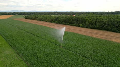 Irrigation-Sprayer-On-Cultivated-Fields-In-Marchfeld,-Austria---Drone-Shot