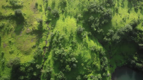Top-angle-of-Bahuli-waterfall,-green-mountain-and-road-Nashik-Maharashtra-India-4K-Drone
