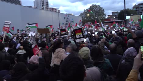 Crowd-gather-at-a-pro-Palestine-protest-in-central-London,-11