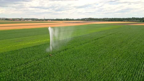 Sprinkler-Water-Irrigation-Farm-In-Marchfeld,-Austria---Drone-Shot