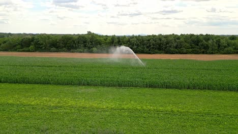 Irrigation-System-Watering-Corn-Field-In-Marchfeld,-Austria---Drone-Shot