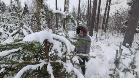 Beautiful-shot-of-a-Person-in-a-winter-forest-with-snow-covered-pine-trees