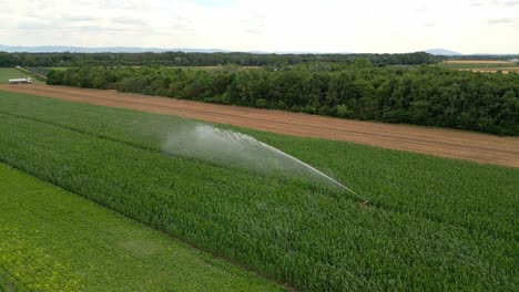 Crop-Irrigation-System-In-Marchfeld-Fields-In-Austria---Drone-Shot