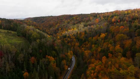 Cars-passing-by-surrounded-by-autumn-coloured-trees-in-New-Hampshire-from-an-aerial-view