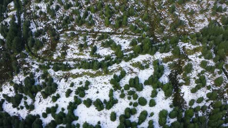 Winterwunderland:-Luftaufnahme-Des-Schneebedeckten-Waldes-In-Den-Wicklow-Mountains-Von-Oben