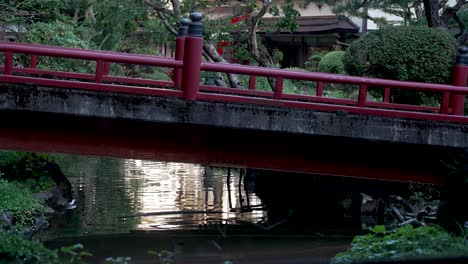 Vista-Del-Puente-Rojo-Sobre-El-Estanque-Koi-En-El-Jardín-Zen-Japonés