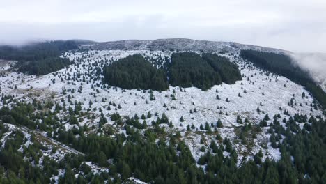 Winter-Wonderland:-Low-clouds-encircling-the-snow-covered-Wicklow-Mountains-and-a-charming-forested-landscape