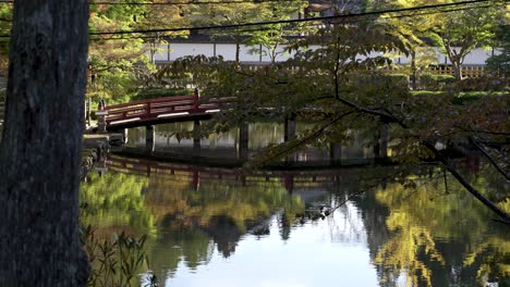 Scenic-View-Of-Zen-Garden-Lake-Pond-With-Reflective-View-Hasuike-Bridge-At-Koyasan
