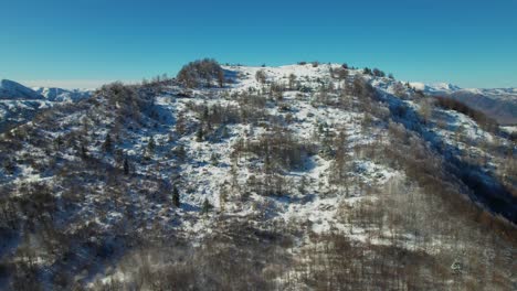 Árboles-Sin-Hojas-Cubiertos-De-Nieve,-Pintando-Un-Cuadro-Sereno-En-La-Vasta-Cordillera-Albanesa-En-Invierno.