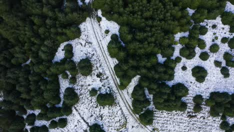 Winter-Wonderland:-Aerial-Top-Down-View-of-Snow-Covered-Forest-in-The-Wicklow-Mountains