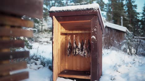 Cold-Smoking---Smokehouse-With-Deer-Meat-On-A-Hook