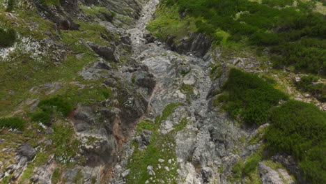 Rotating-aerial-footage-of-mountain-goats-running-through-a-steep-Austrian-Alps-region-mountain-valley