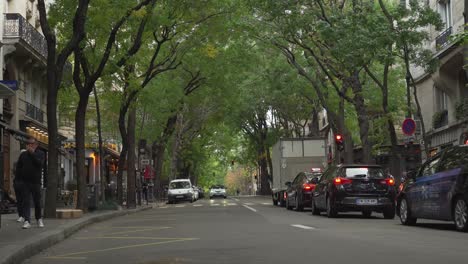 Hermosos-árboles-Crecen-Sobre-El-Carril-En-El-Distrito-De-Montmartre-En-París
