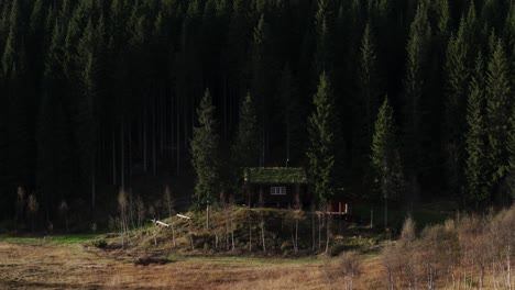 Cottage-Isolated-Near-Mountain-Forest-With-Dense-Spruce-Trees