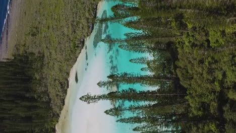 Beautiful-natural-pool,-Oro-Bay-Isle-of-Pines