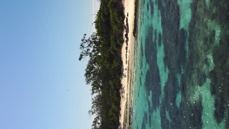 Vertical-flyover-above-tropical-island-towards-sailboat-in-shallow-cove,-New-Caledonia