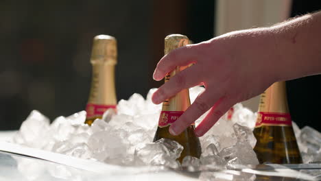 Close-Up-Hand-Placing-Champagne-Bottle-Into-Ice-At-Outdoor-Event,-4K-Slow-Motion