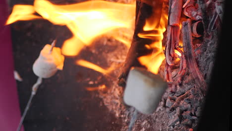 Two-marshmallows-roasting-on-sticks-over-small-campfire