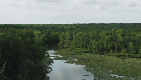 Wetland-habitat-natural-environment-forest-in-Lamar-Missouri,-USA,-aerial