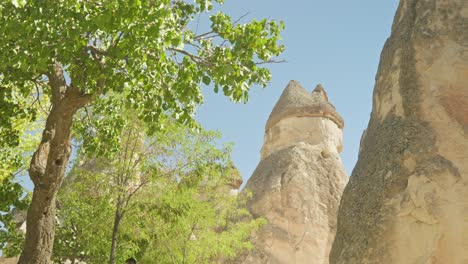 Natur,-Einzigartige-Felsformationen,-Feenkamine-Im-Pasabag-Tal