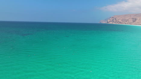 Seabirds-Flying-Over-The-Turquoise-Blue-Waters-Of-Ocean-In-Shoab-Beach,-Socotra-Island,-Yemen