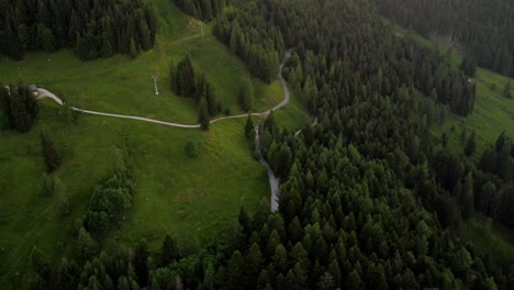 Aerial-View-Of-Forest-And-Asphalt-Road-In-High-Mountains,-Alps-In-Austria