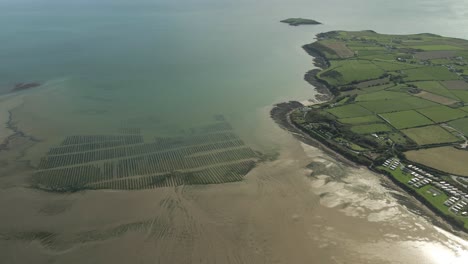 Mesmerizing-composition-of-Oyster-farm-located-at-Pilmore-strand-Cork-Ireland-aerial