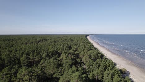 Forested-beach-with-stunning-white-sand-and-rolling-waves,-aerial-of-Baltic-Coastline