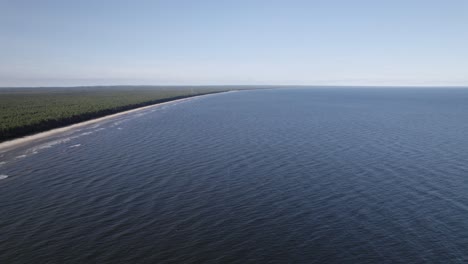 Baltic-Sea-ocean-water-ripples-crash-along-forested-sandy-shoreline,-panoramic-aerial