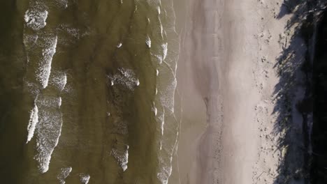 Drone-top-down-trucking-pan-of-ocean-waves-crashing-on-sandy-beach-with-tree-shadows