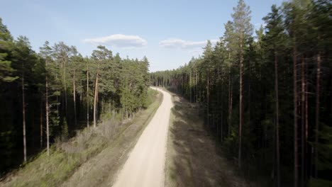 Quick-aerial-dolly-along-sandy-dirt-road-between-pine-tree-forest-under-blue-sky