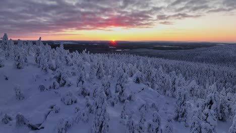 Luftaufnahme-über-Verschneiten-Wald-Mit-Dem-Letzten-Sonnenlicht-Vor-Der-Polarnacht-In-Lappland