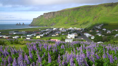 Beautiful-town-of-Vik-i-Myrdal-Iceland-in-summer.