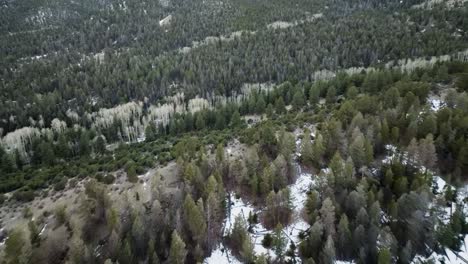 Drone-view-of-pine-trees-on-a-cold-snowy-mountain