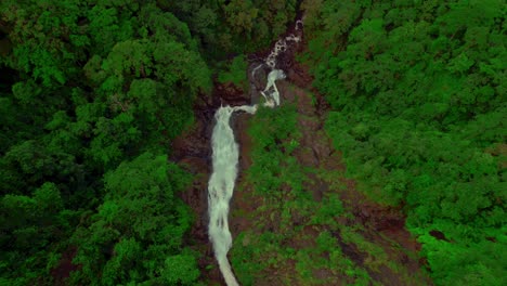 Aerial-view-of-majestic-Bijagual-Waterfall-or-Manantial-de-Agua-Viva,-the-tallest-waterfall-in-Costa-Rica