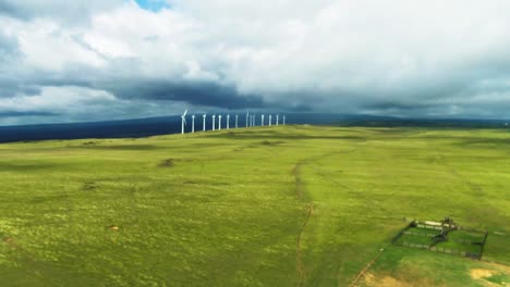 Green-field-sustainable-energy-wind-power-turbine-in-South-Point-Park,-Big-Island,-Hawaii