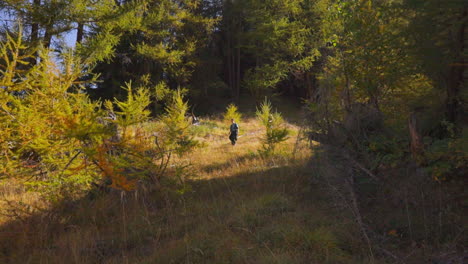 Dos-Excursionistas-Caminando-En-El-Bosque-Natural-En-Verano-En-La-Región-De-Los-Alpes-Italianos.