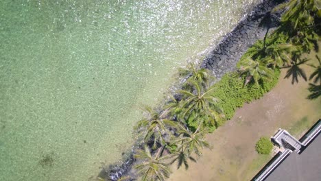 Palmen-Schaffen-Eine-Tropische-Oase-Am-Strand,-Ergänzt-Durch-Das-Beruhigende-Meer-Darunter