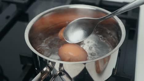 Putting-egg-in-hot-boiling-water