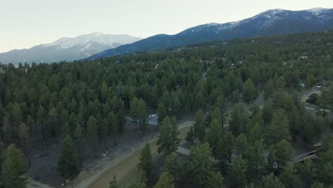 Drone-over-pine-trees-and-homes-leading-up-to-Mount-Princeton-in-the-Rocky-Mountains-in-Colorado