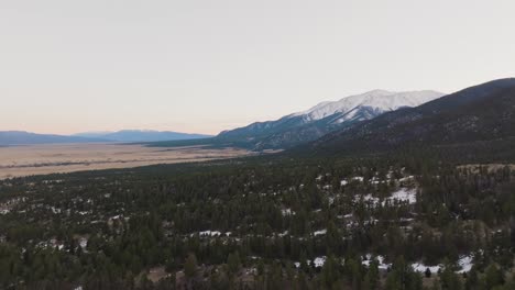 Drone-over-pine-trees-approaching-Mount-Princeton-in-the-Rocky-Mountains-in-Colorado